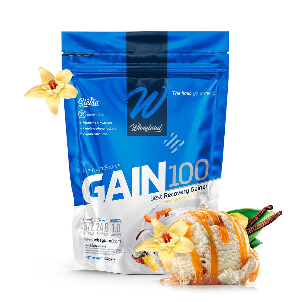 WHEYLAND-GAIN 100 VAINILLA - 3 KG