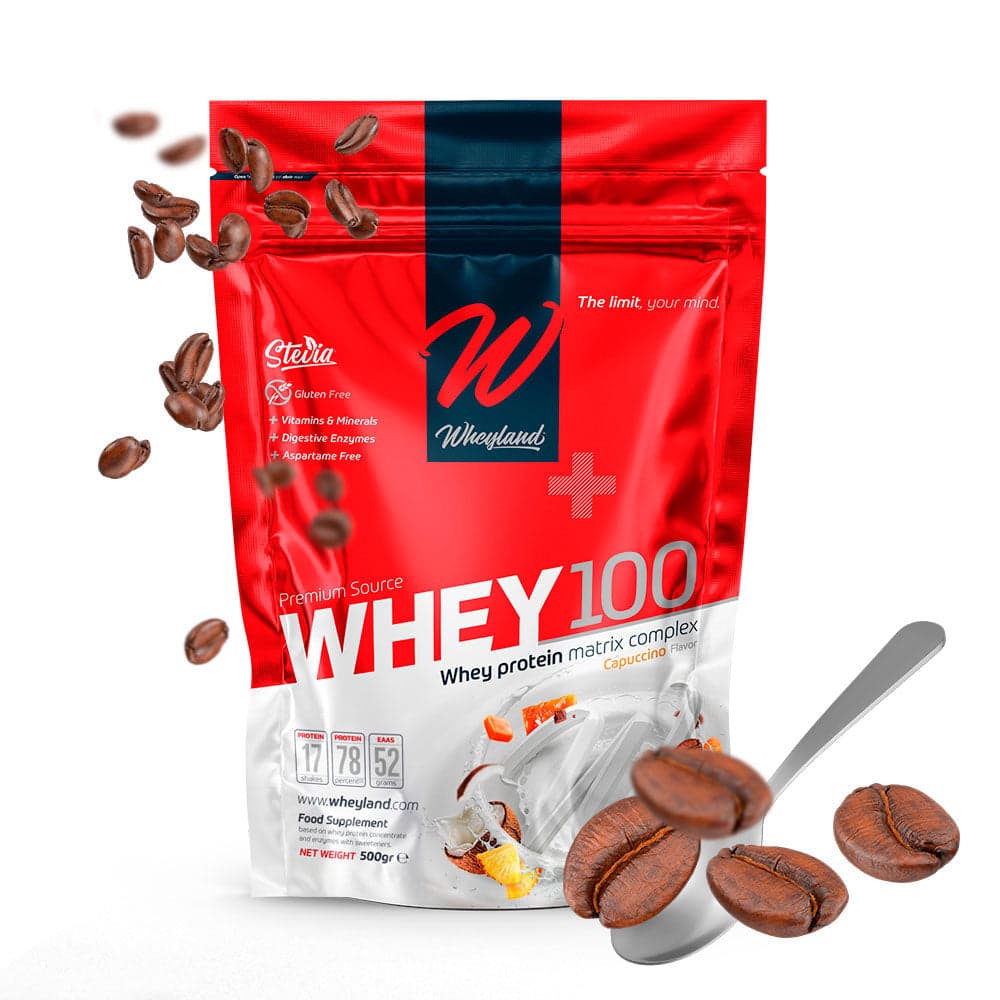 WHEYLAND-WHEY 100 CAPUCHINO - 500 GR