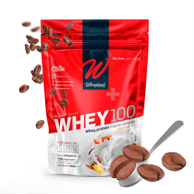 WHEYLAND-WHEY 100 CAPUCHINO - 500 GR
