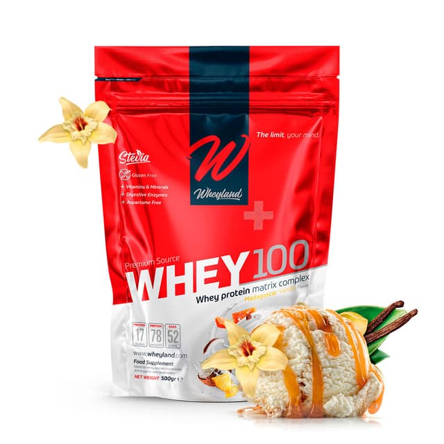 WHEYLAND-WHEY 100 MADAGASCAR VAINILLA - 500 GR